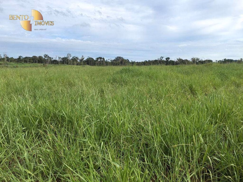 Farm of 12,849 acres in Comodoro, MT, Brazil