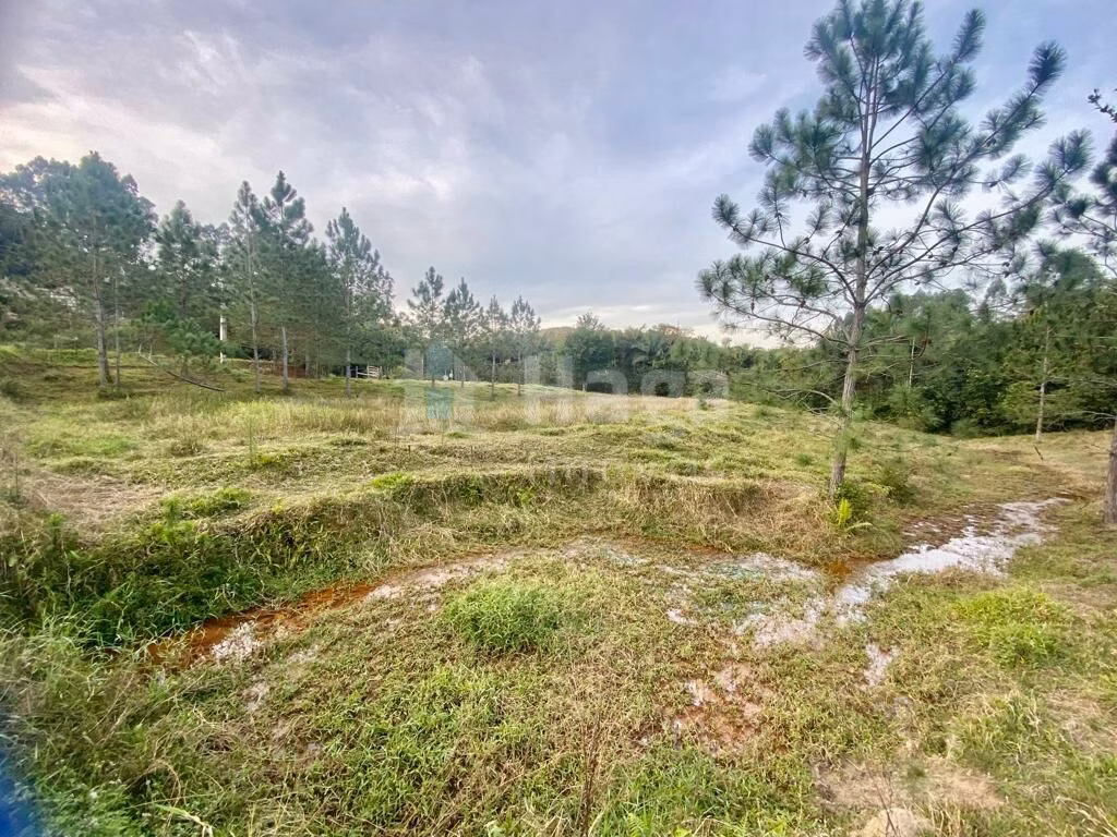 Terreno de 2.400 m² em Nova Trento, SC