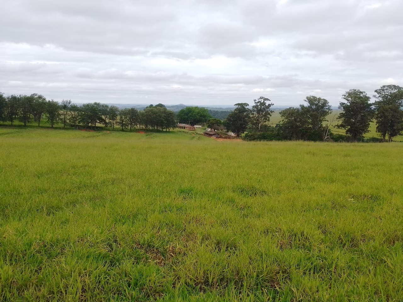 Farm of 1,704 acres in Riversul, SP, Brazil