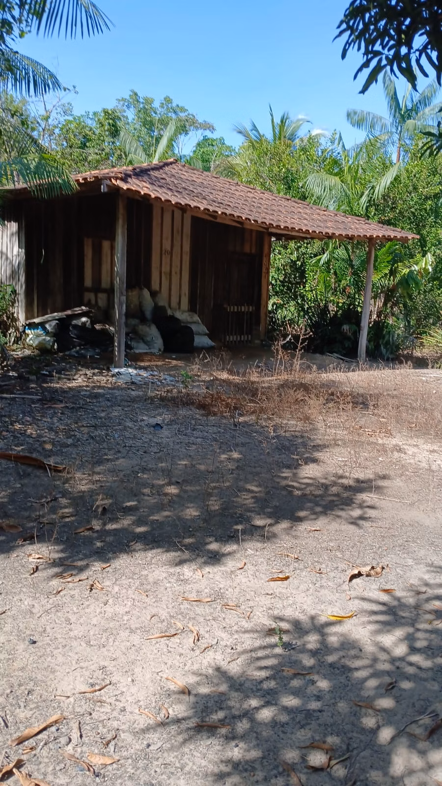 Sítio de 8 ha em Bujaru, PA