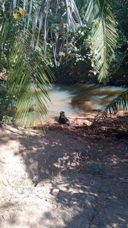 Farm of 914 acres in Cuiabá, MT, Brazil