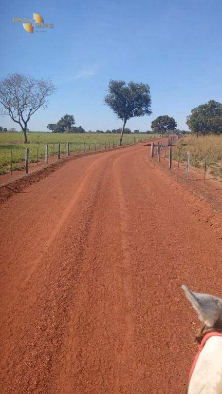 Farm of 914 acres in Cuiabá, MT, Brazil