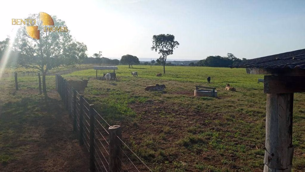 Farm of 914 acres in Cuiabá, MT, Brazil