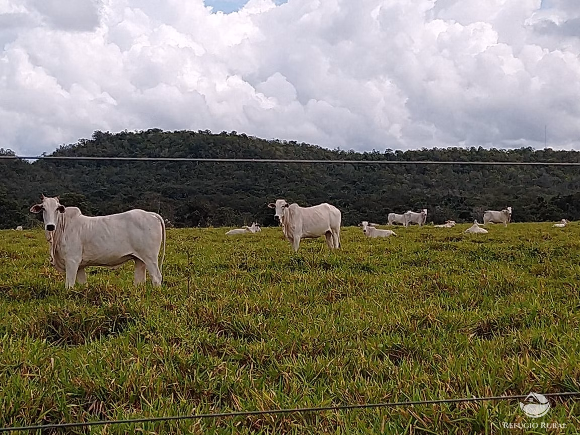 Fazenda de 19.819 ha em Paraíso do Tocantins, TO