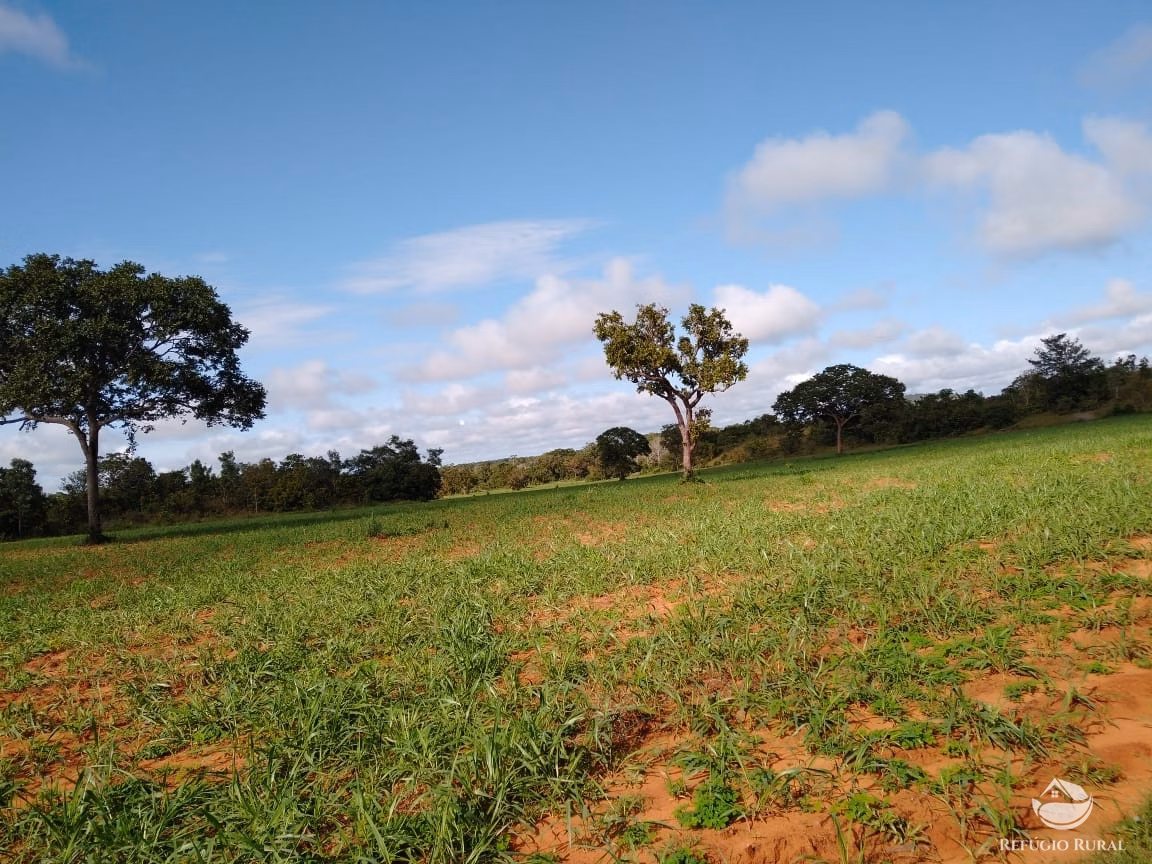 Fazenda de 19.819 ha em Paraíso do Tocantins, TO