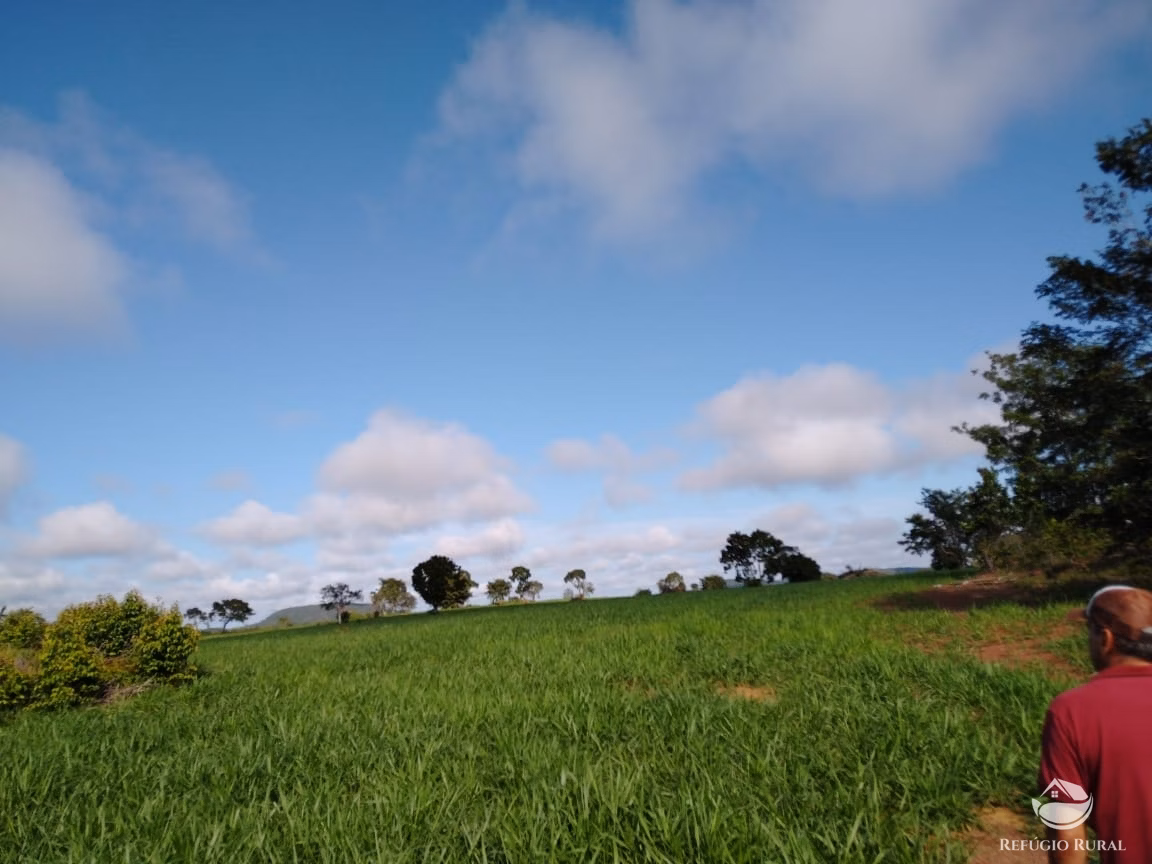 Fazenda de 19.819 ha em Paraíso do Tocantins, TO