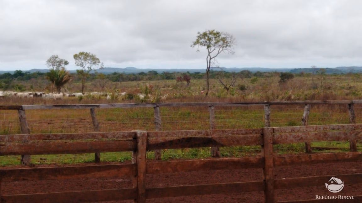 Farm of 48.974 acres in Paraíso do Tocantins, TO, Brazil