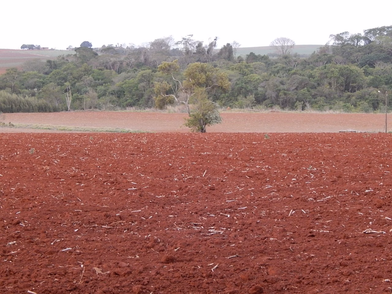 Small farm of 94 acres in Cesário Lange, SP, Brazil