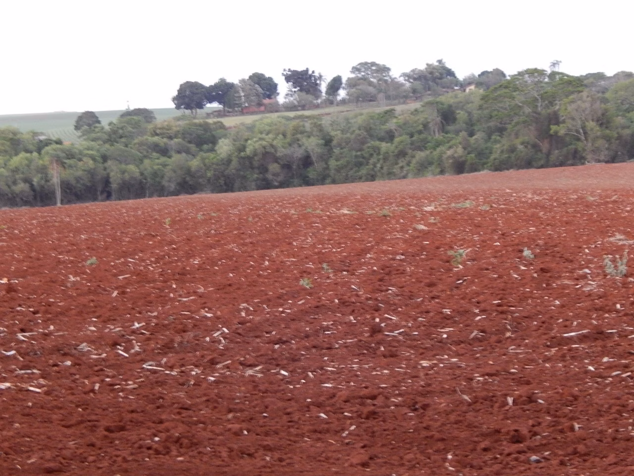 Small farm of 94 acres in Cesário Lange, SP, Brazil