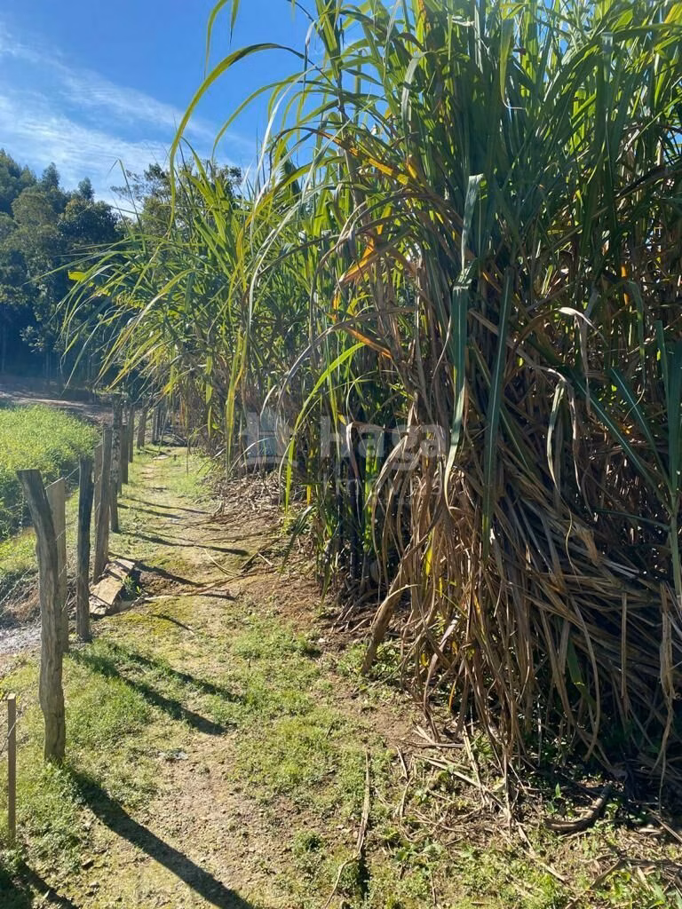 Country home of 1,800 m² in Canelinha, SC, Brazil