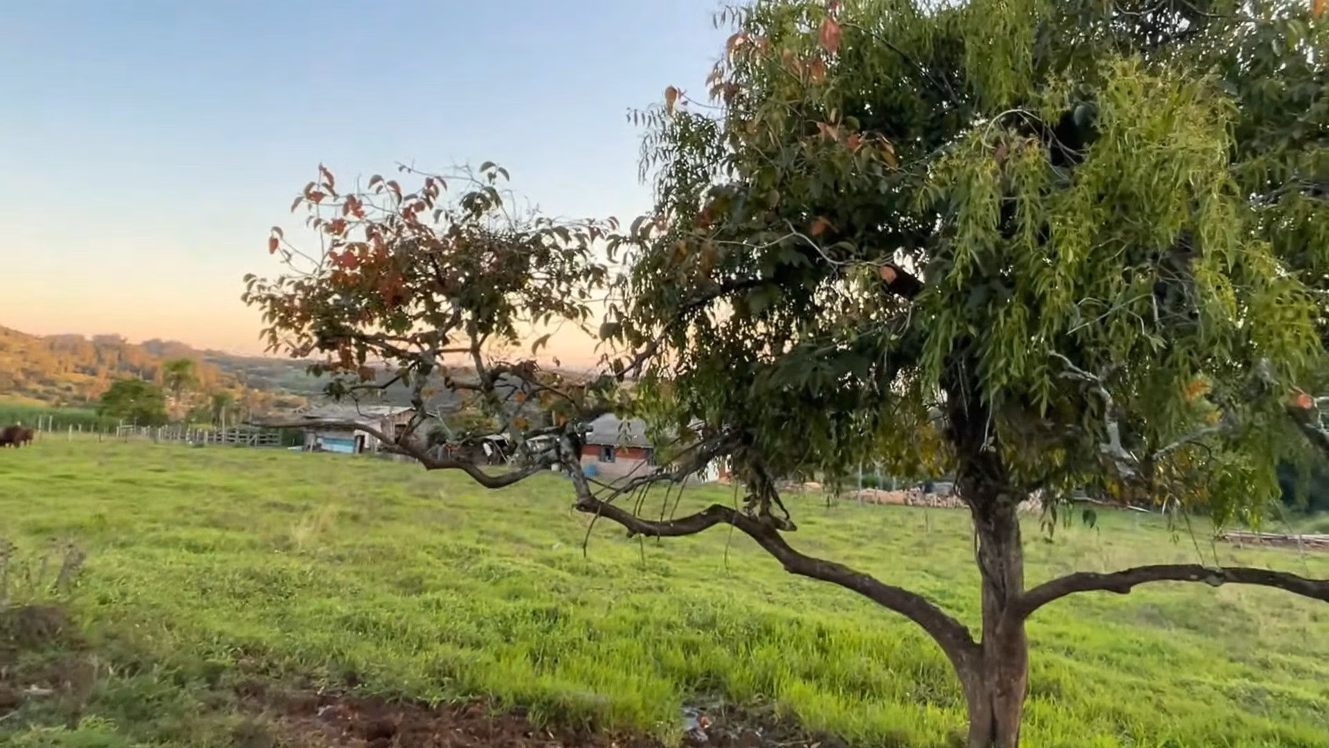 Terreno de 9.000 m² em Santo Antônio da Patrulha, RS