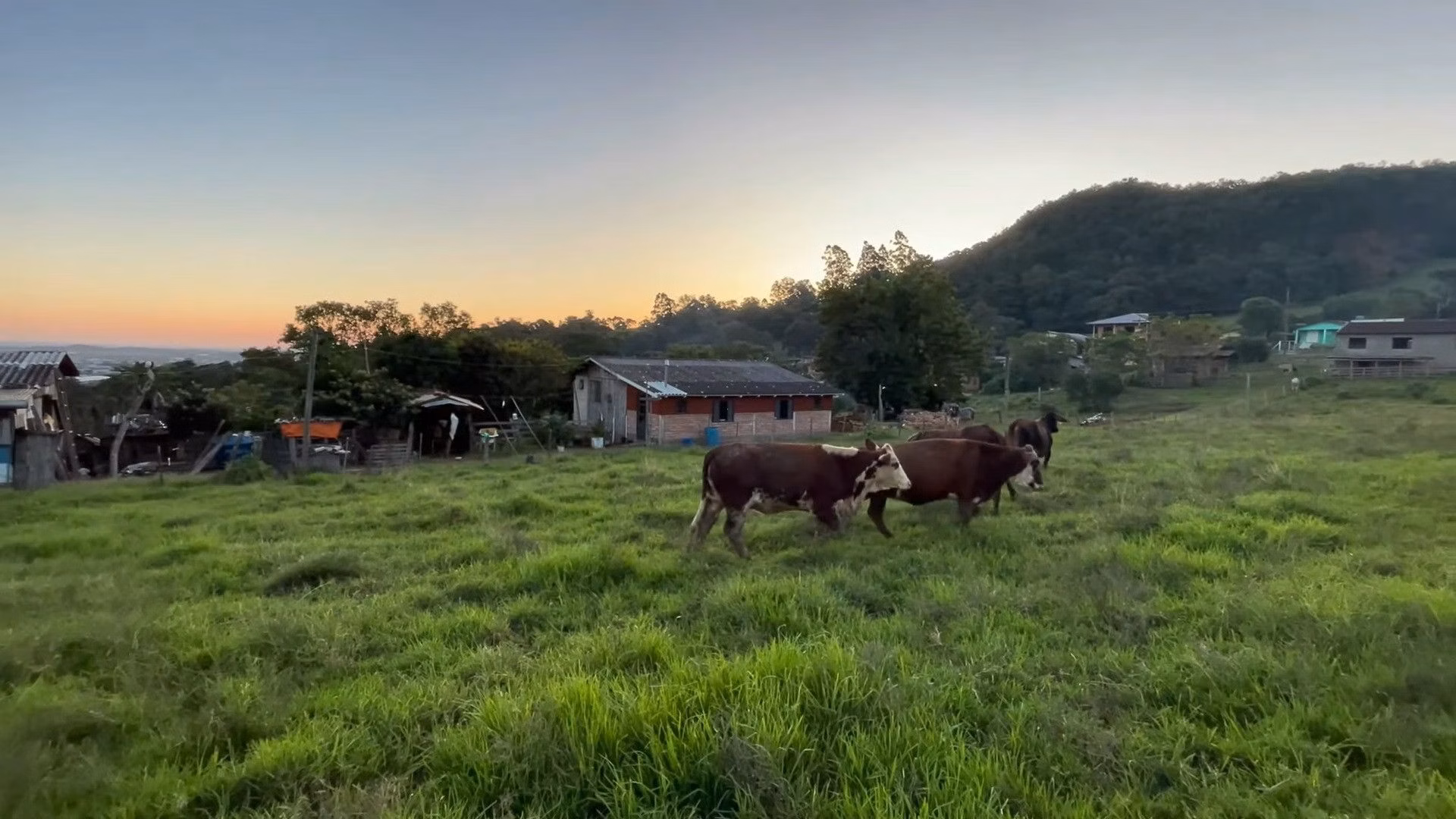 Plot of 2 acres in Santo Antônio da Patrulha, RS, Brazil