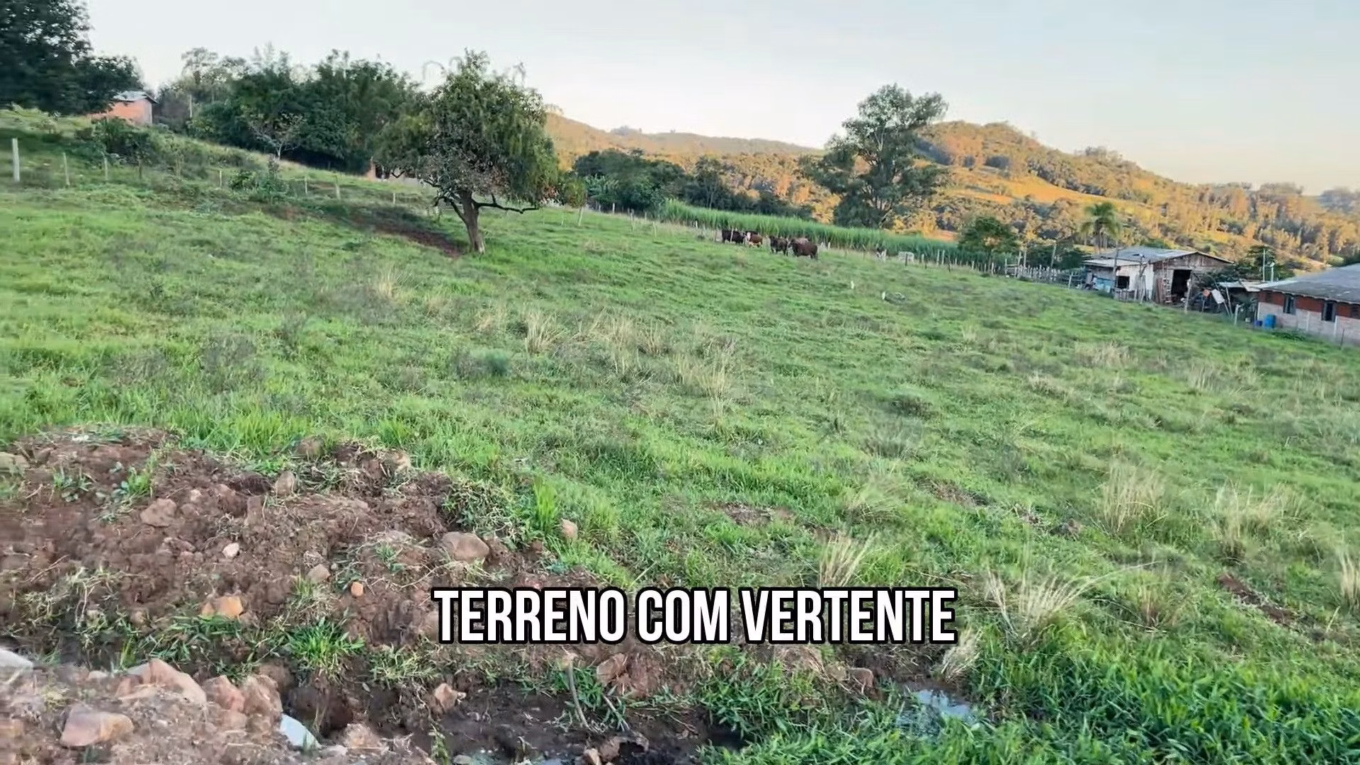 Plot of 2 acres in Santo Antônio da Patrulha, RS, Brazil