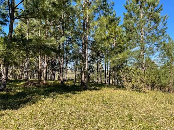 Small farm of 10 acres in Santo Antônio da Patrulha, RS, Brazil