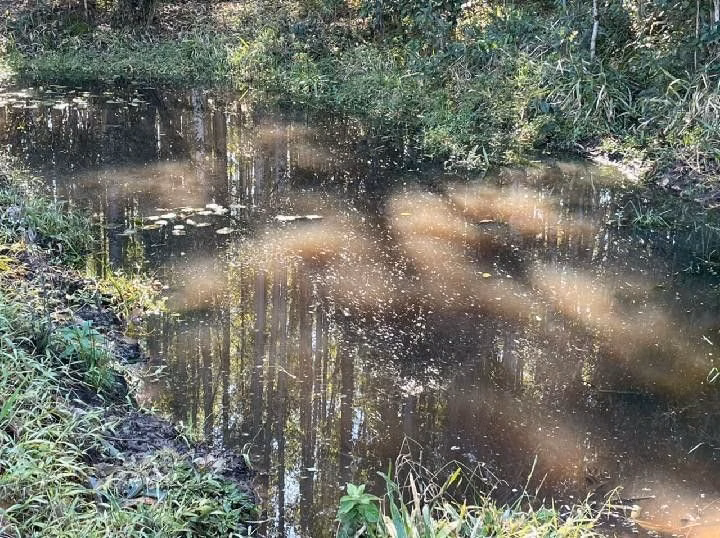 Small farm of 10 acres in Santo Antônio da Patrulha, RS, Brazil