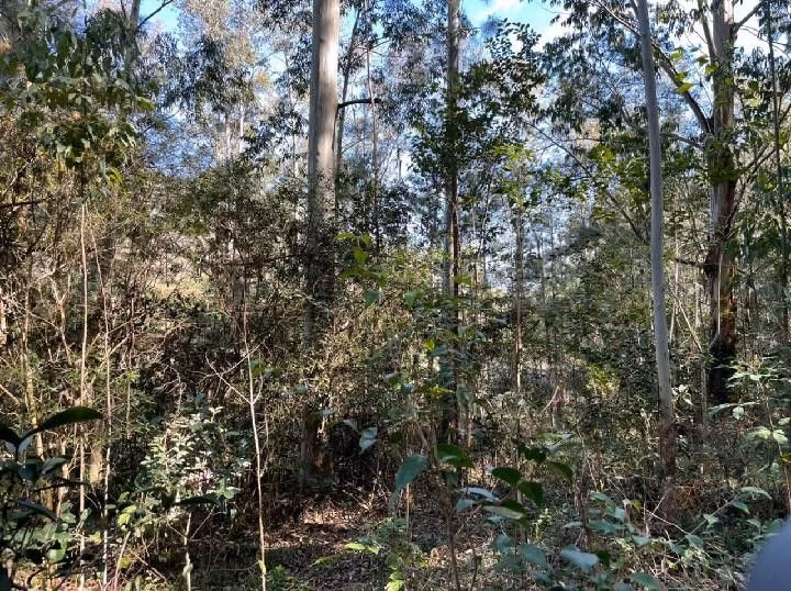 Small farm of 10 acres in Santo Antônio da Patrulha, RS, Brazil