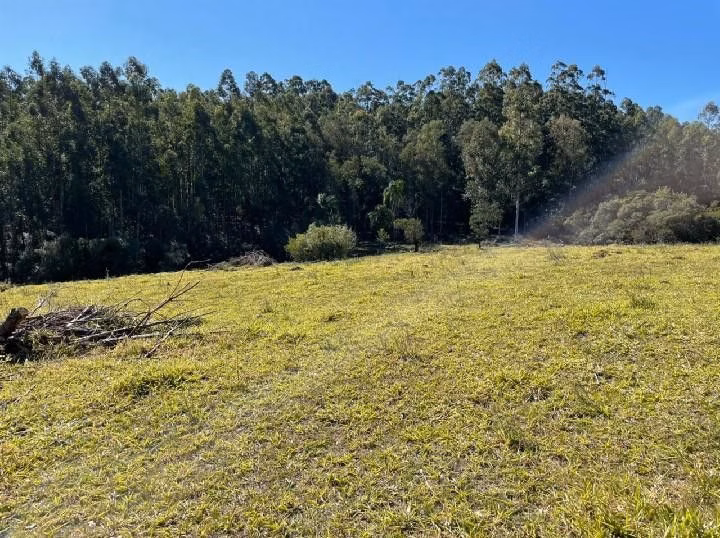 Small farm of 10 acres in Santo Antônio da Patrulha, RS, Brazil