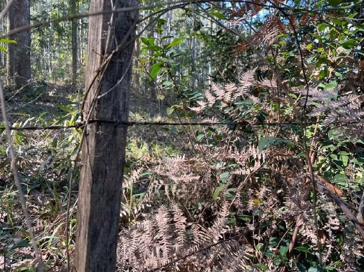 Sítio de 4 ha em Santo Antônio da Patrulha, RS
