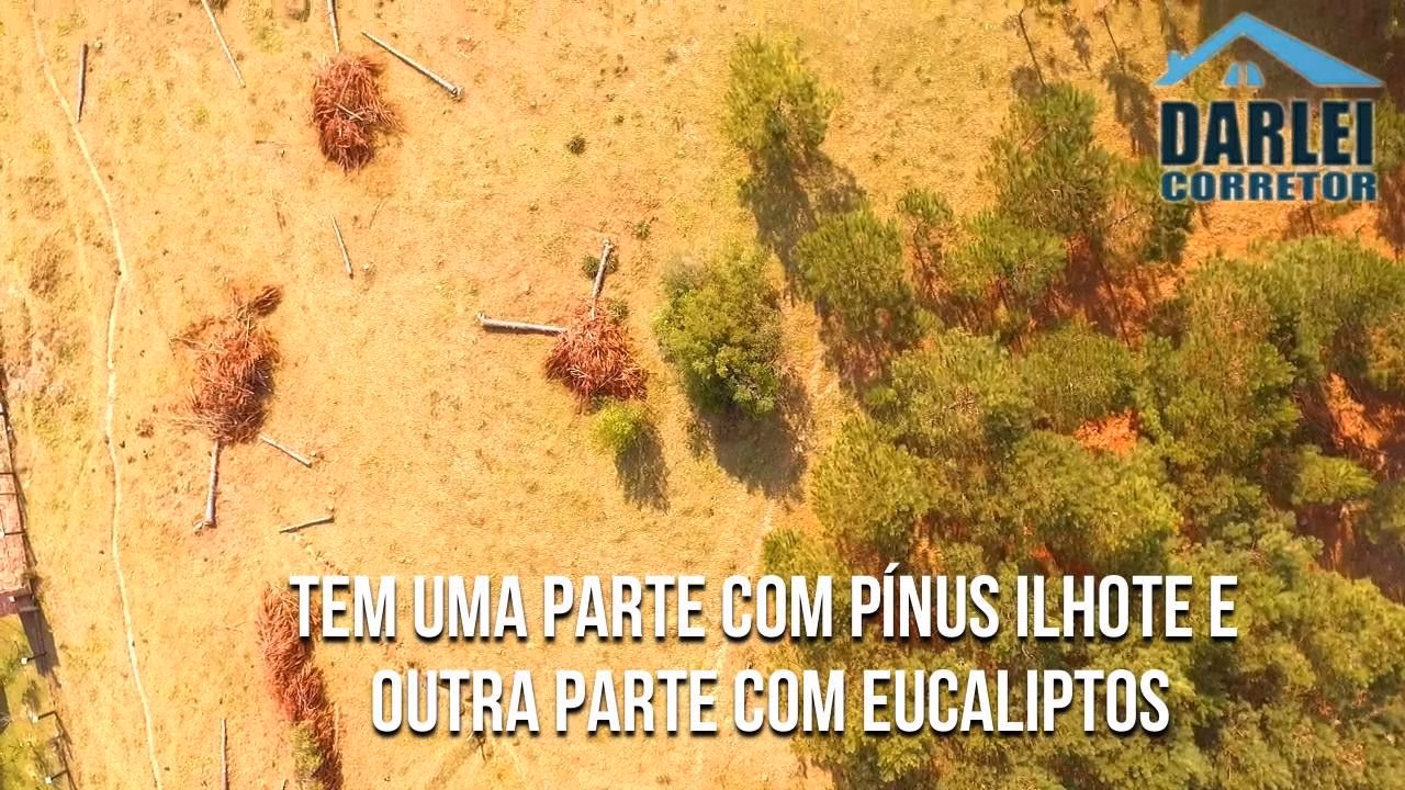 Small farm of 10 acres in Santo Antônio da Patrulha, RS, Brazil