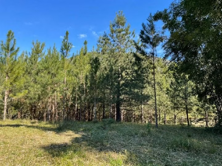 Small farm of 10 acres in Santo Antônio da Patrulha, RS, Brazil