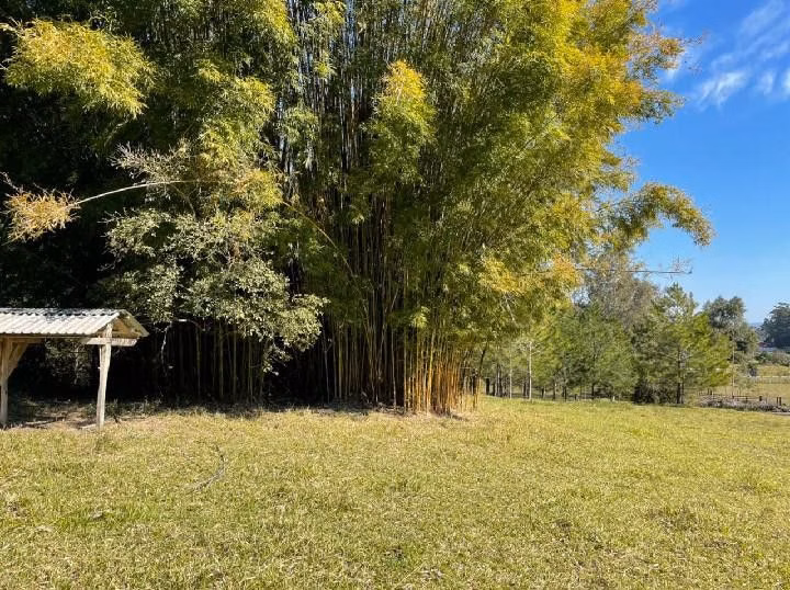 Small farm of 10 acres in Santo Antônio da Patrulha, RS, Brazil