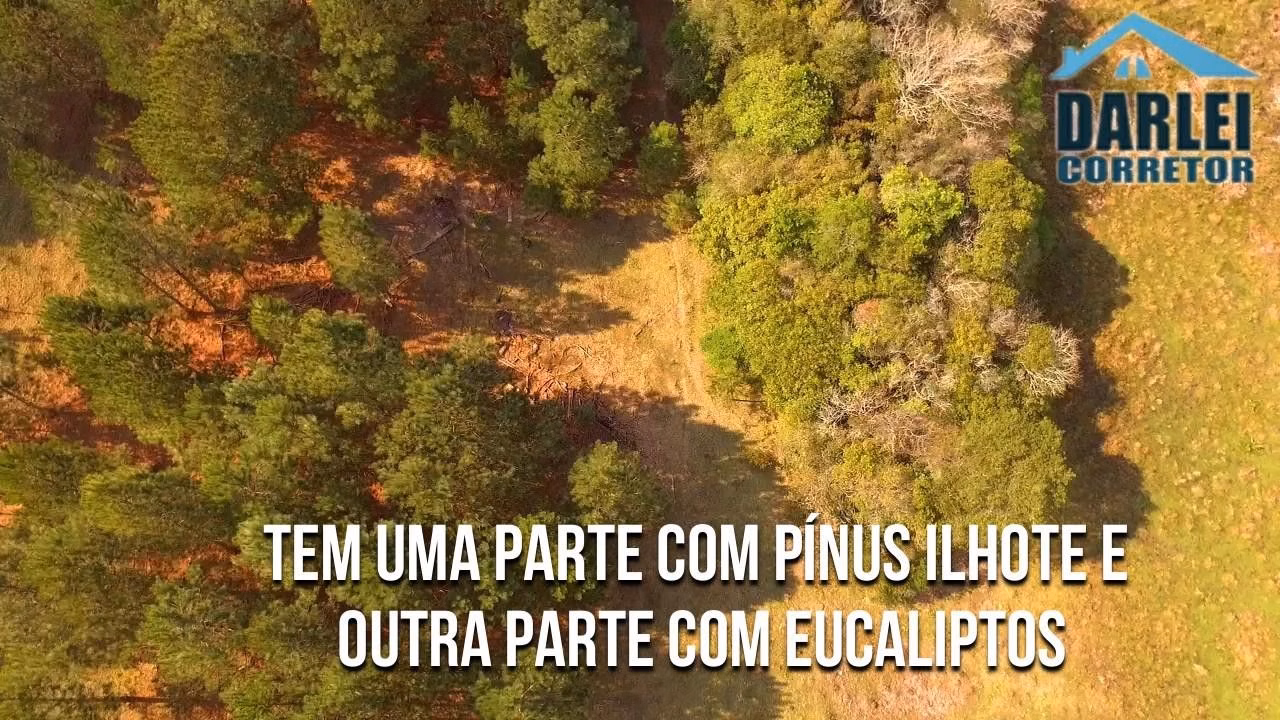Small farm of 10 acres in Santo Antônio da Patrulha, RS, Brazil