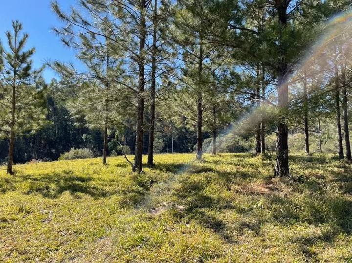 Small farm of 10 acres in Santo Antônio da Patrulha, RS, Brazil