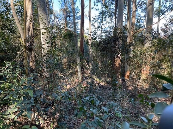 Small farm of 10 acres in Santo Antônio da Patrulha, RS, Brazil