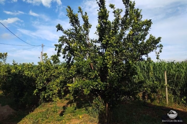 Small farm of 7 acres in Fronteira, MG, Brazil