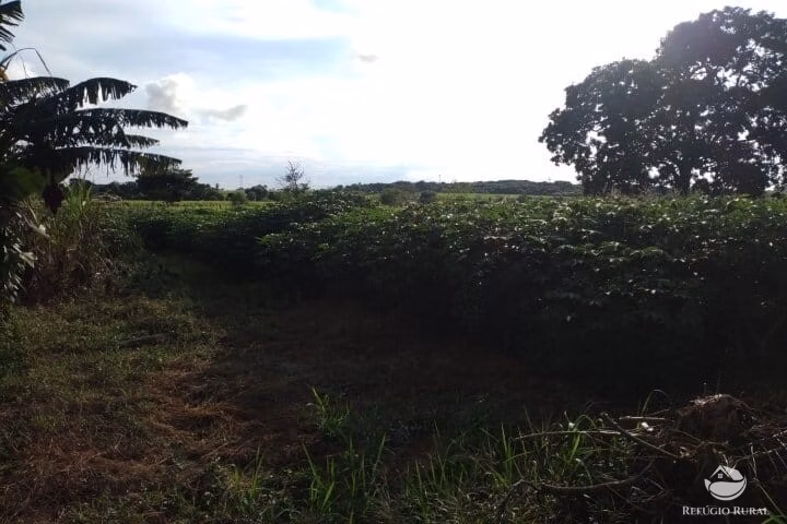 Small farm of 7 acres in Fronteira, MG, Brazil