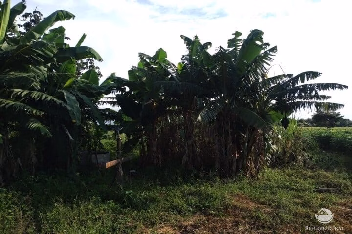 Small farm of 7 acres in Fronteira, MG, Brazil