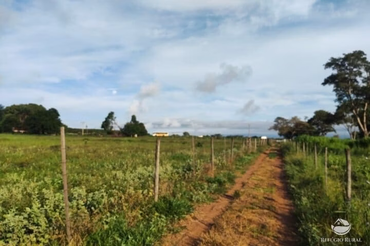 Small farm of 7 acres in Fronteira, MG, Brazil