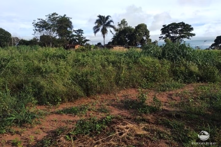 Small farm of 7 acres in Fronteira, MG, Brazil