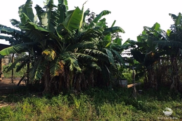 Small farm of 7 acres in Fronteira, MG, Brazil