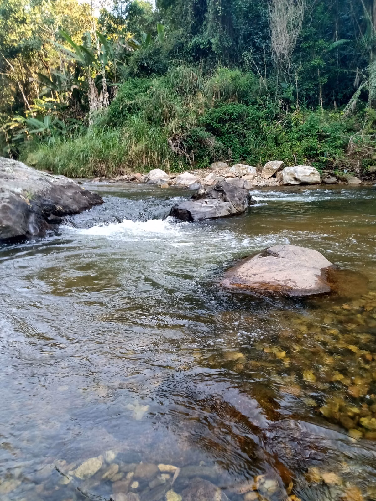 Sítio de 4 ha em Cajati, SP