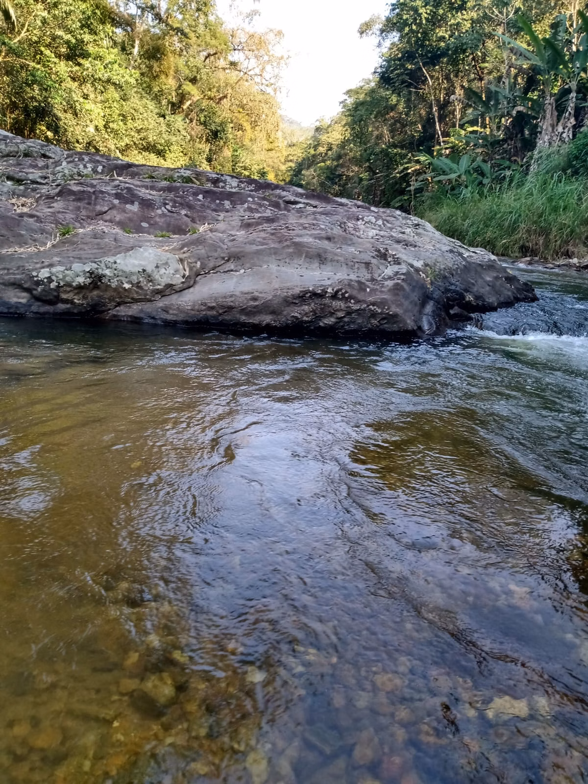 Sítio de 4 ha em Cajati, SP