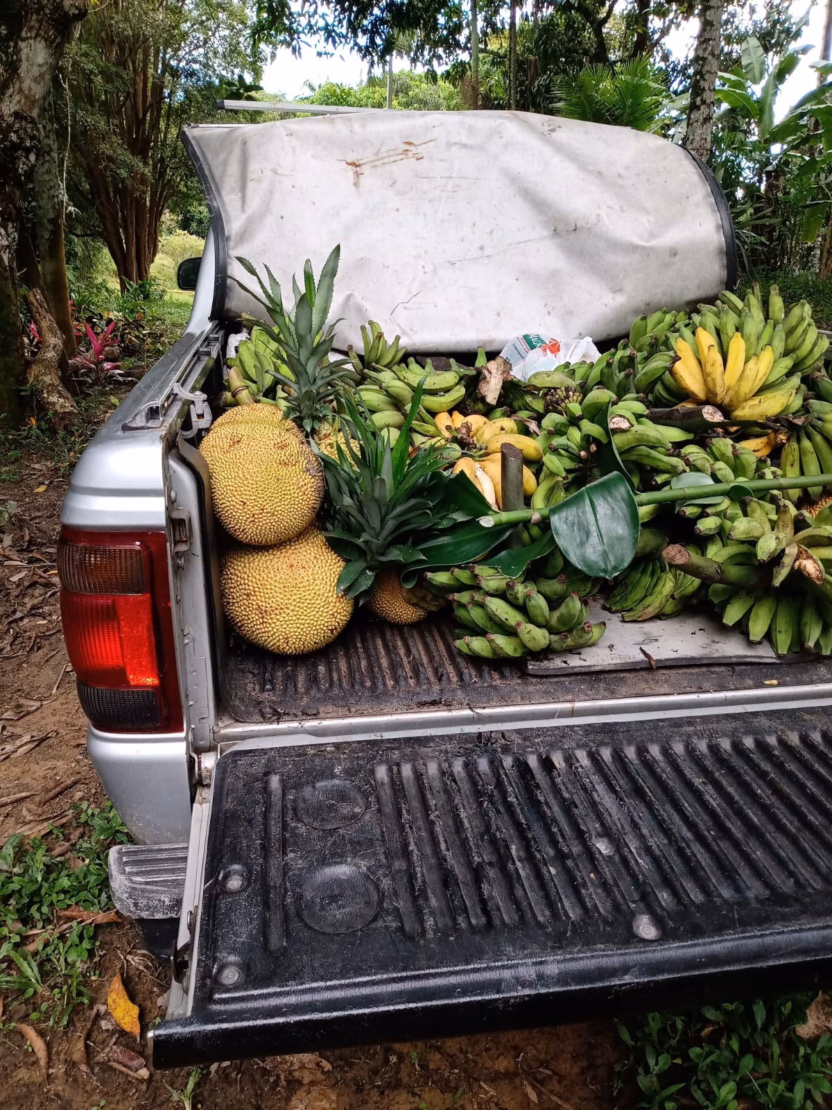 Sítio de 4 ha em Cajati, SP