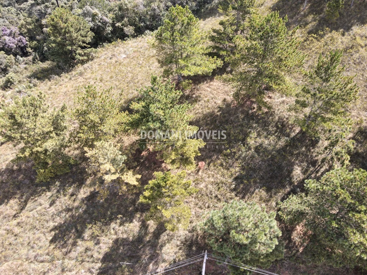 Plot of 1,460 m² in Campos do Jordão, SP, Brazil