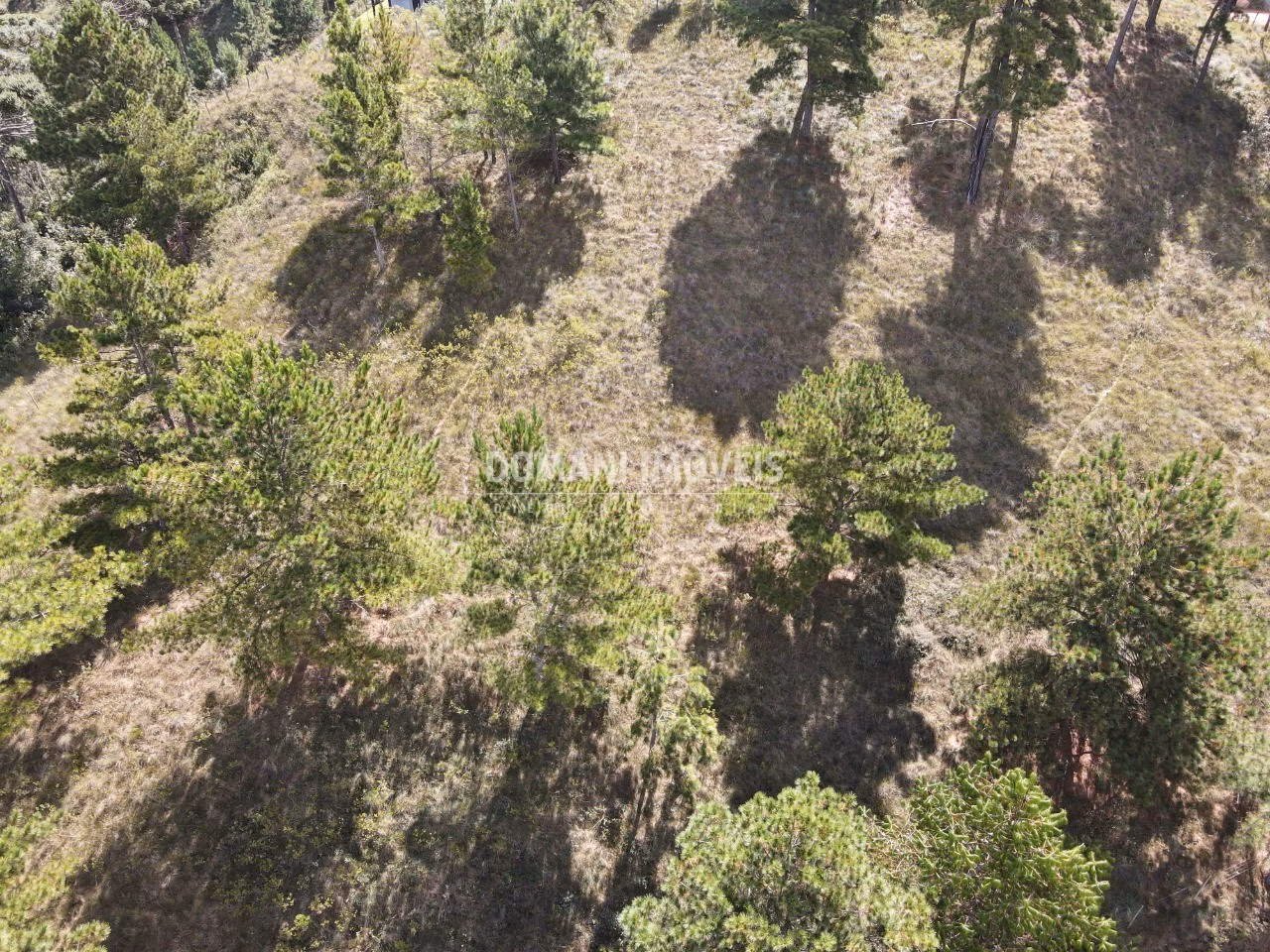 Terreno de 1.460 m² em Campos do Jordão, SP