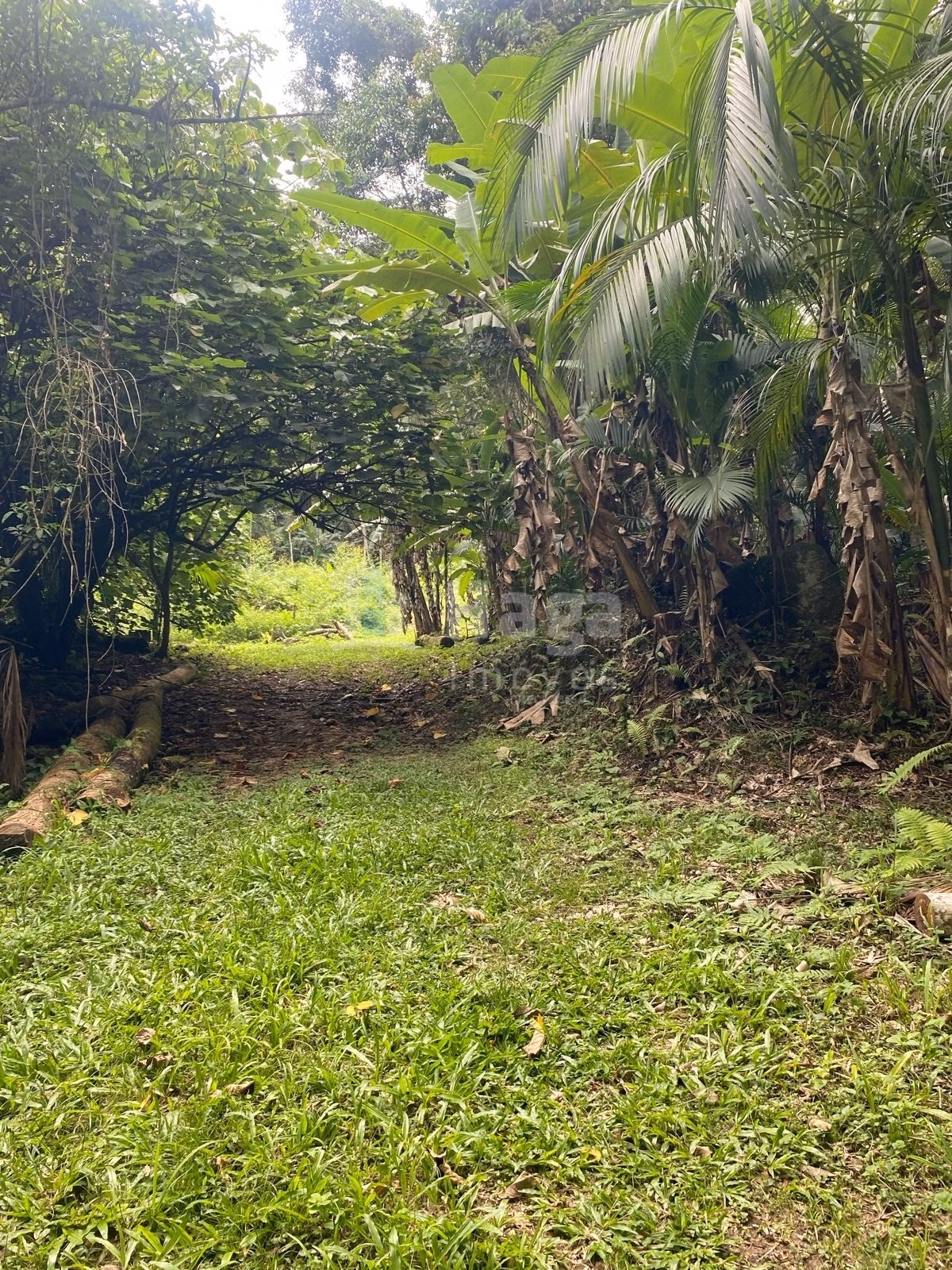 Country home of 47 acres in Canelinha, SC, Brazil