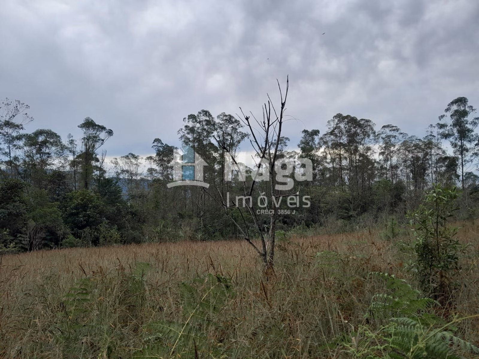 Terreno de 20 ha em Turvo, SC
