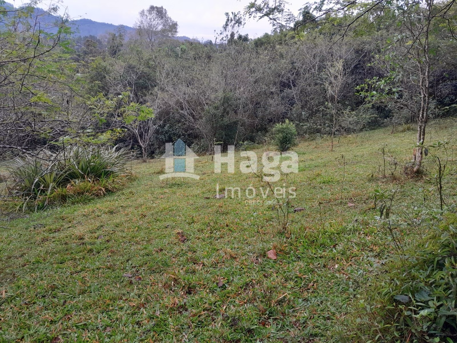 Terreno de 20 ha em Turvo, SC