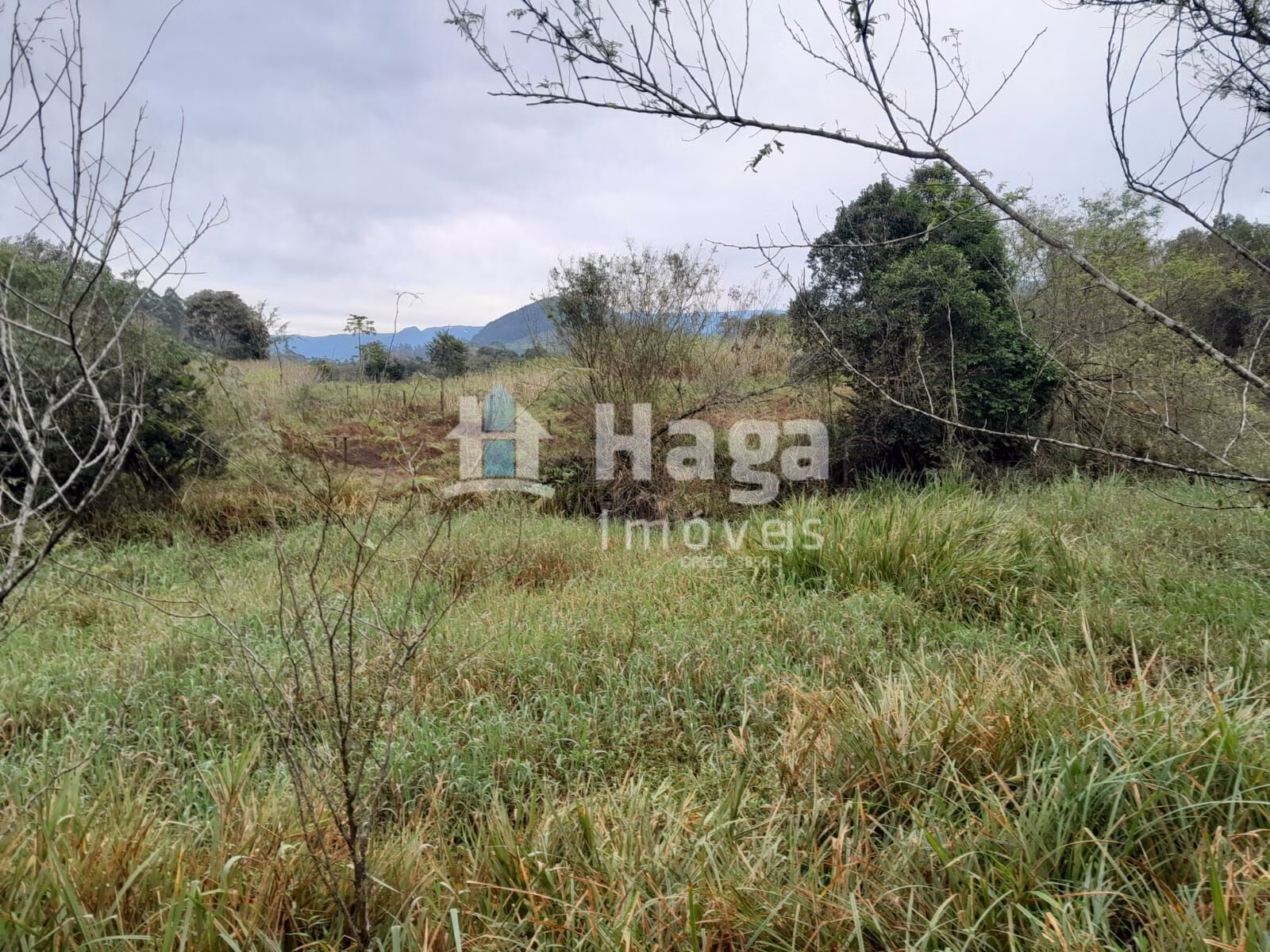 Terreno de 20 ha em Turvo, SC