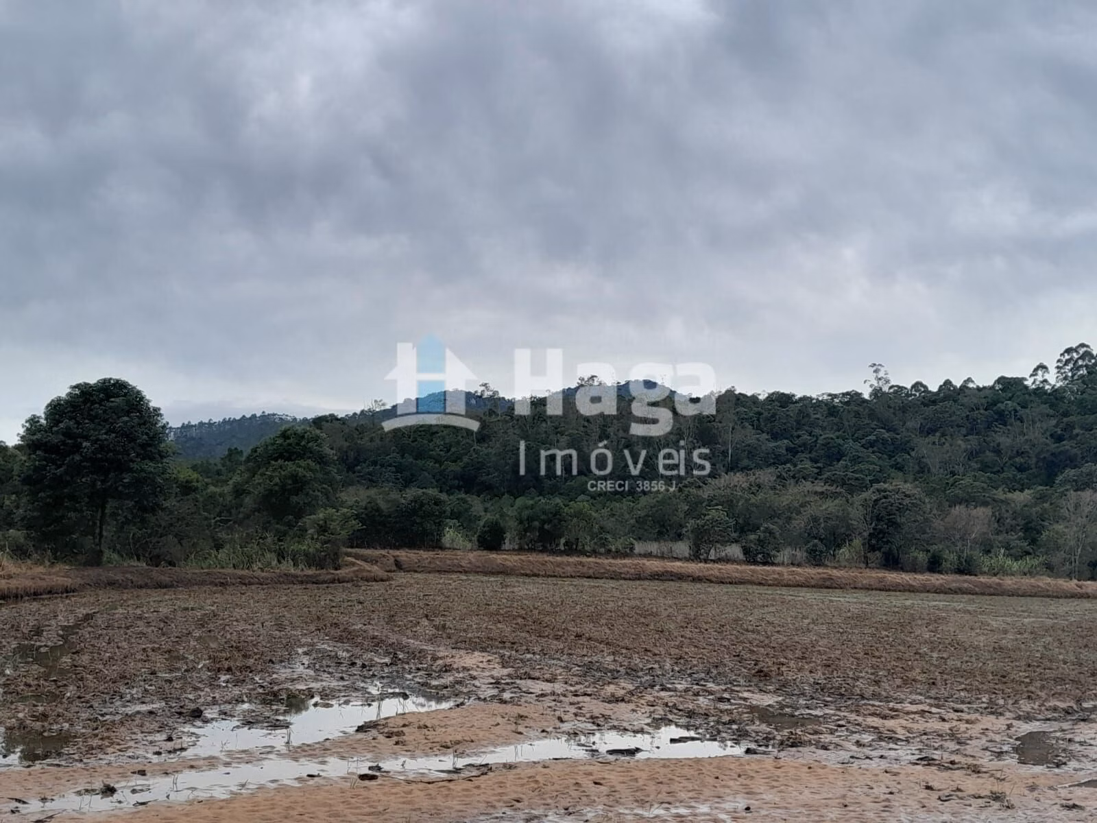 Terreno de 20 ha em Turvo, SC