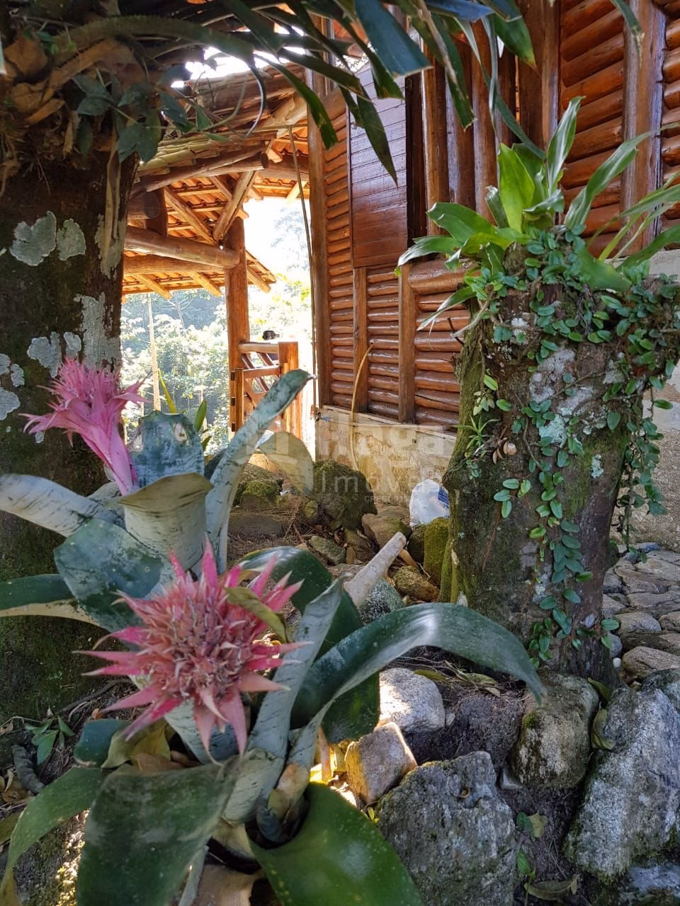 Country home of 1 acres in Canelinha, SC, Brazil