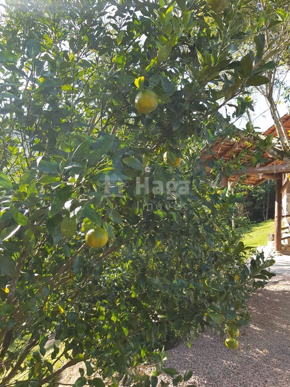 Country home of 1 acres in Canelinha, SC, Brazil