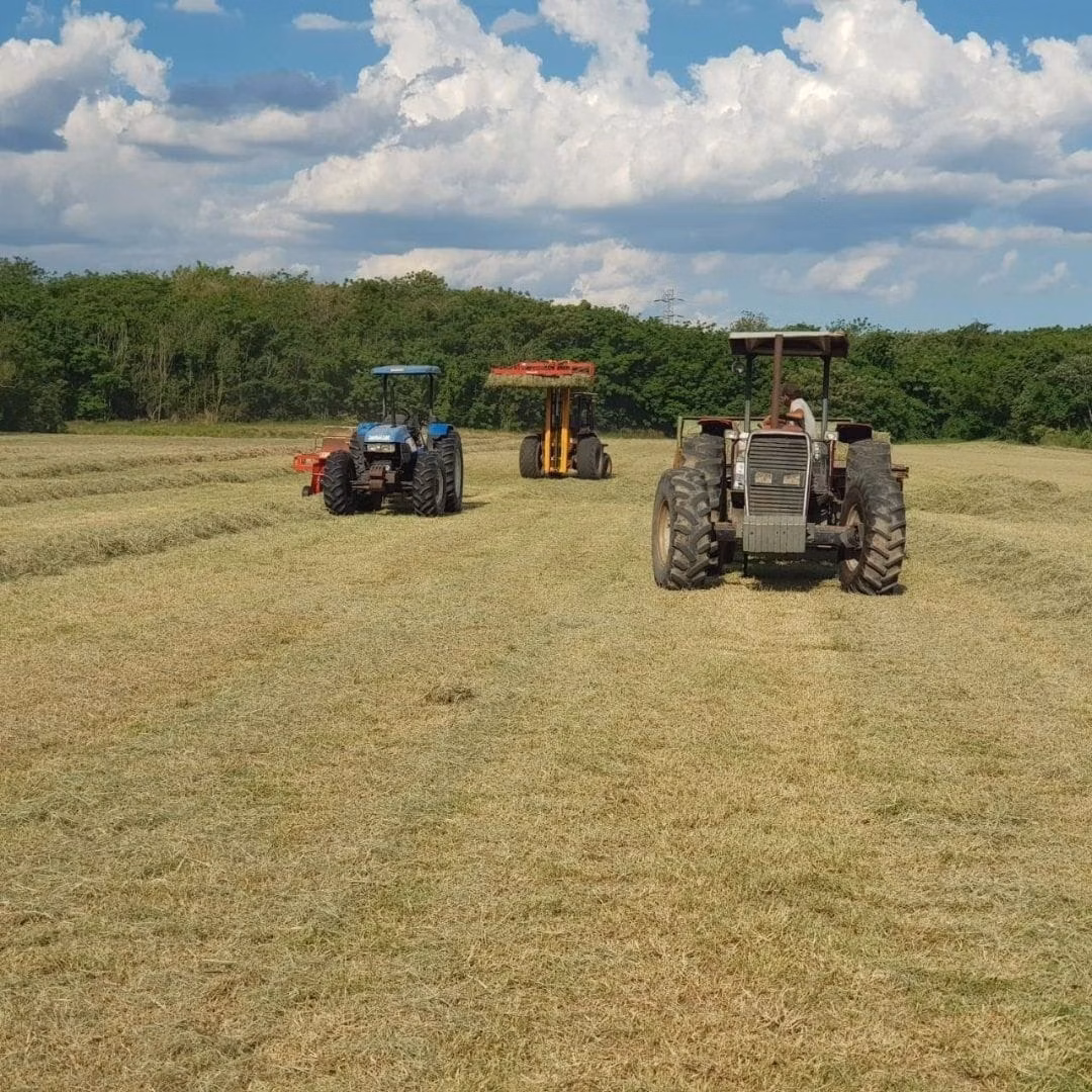 Plot of 111 acres in São José dos Campos, SP, Brazil