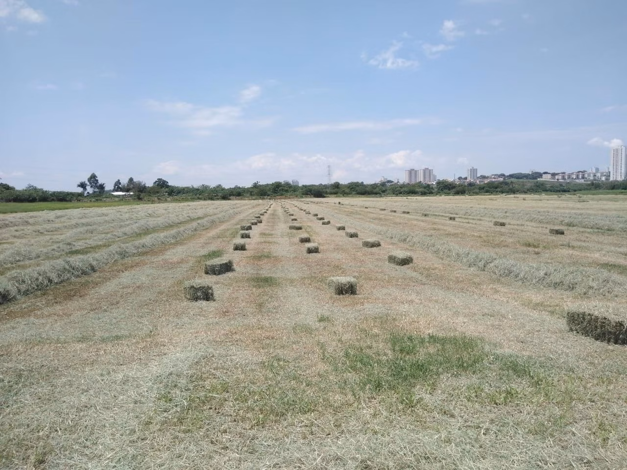 Plot of 111 acres in São José dos Campos, SP, Brazil