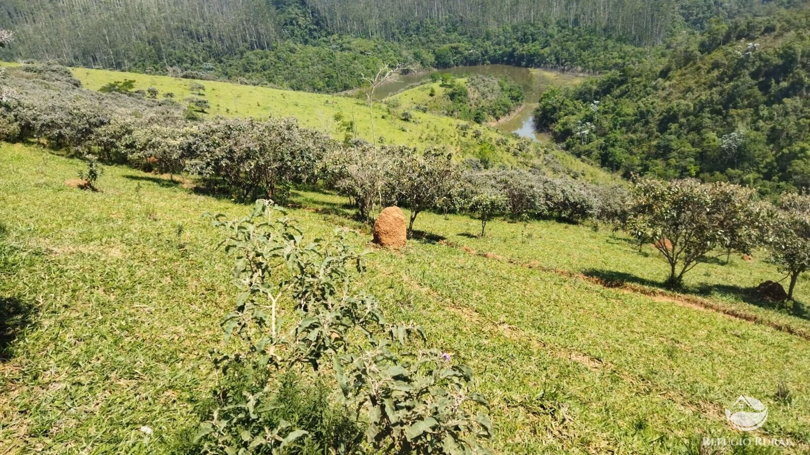 Small farm of 178 acres in São José dos Campos, SP, Brazil