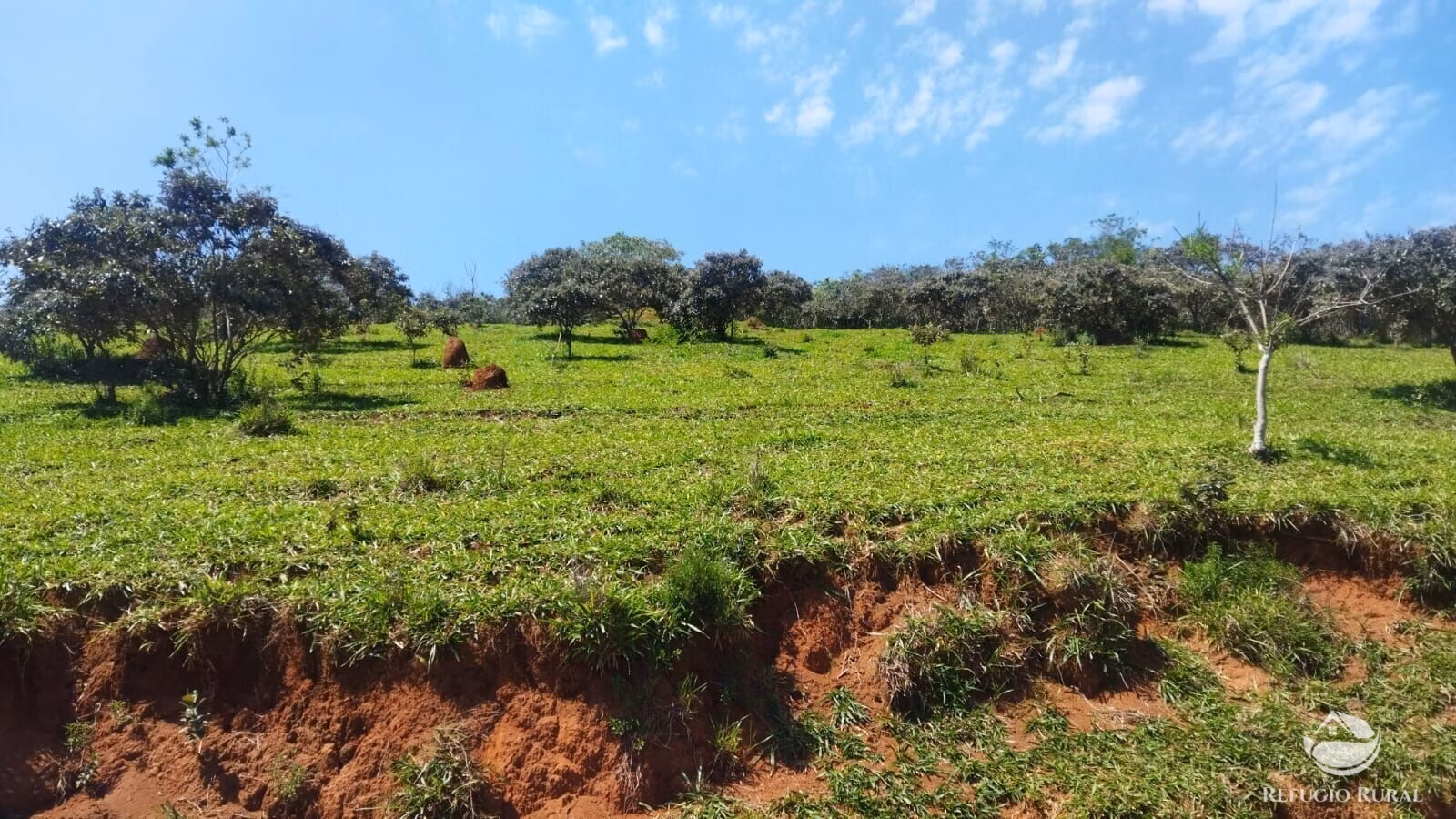 Small farm of 178 acres in São José dos Campos, SP, Brazil